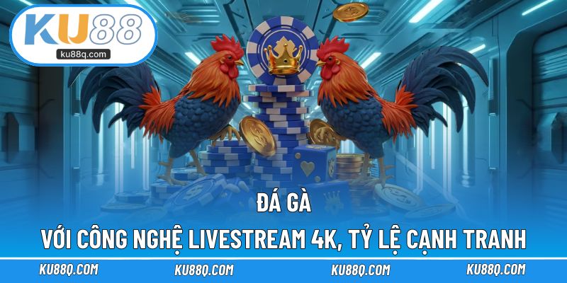 Đá Gà với công nghệ livestream 4K, tỷ lệ thưởng cạnh tranh
